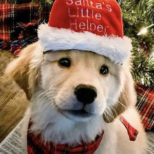 Meet your Posher, Tori rae